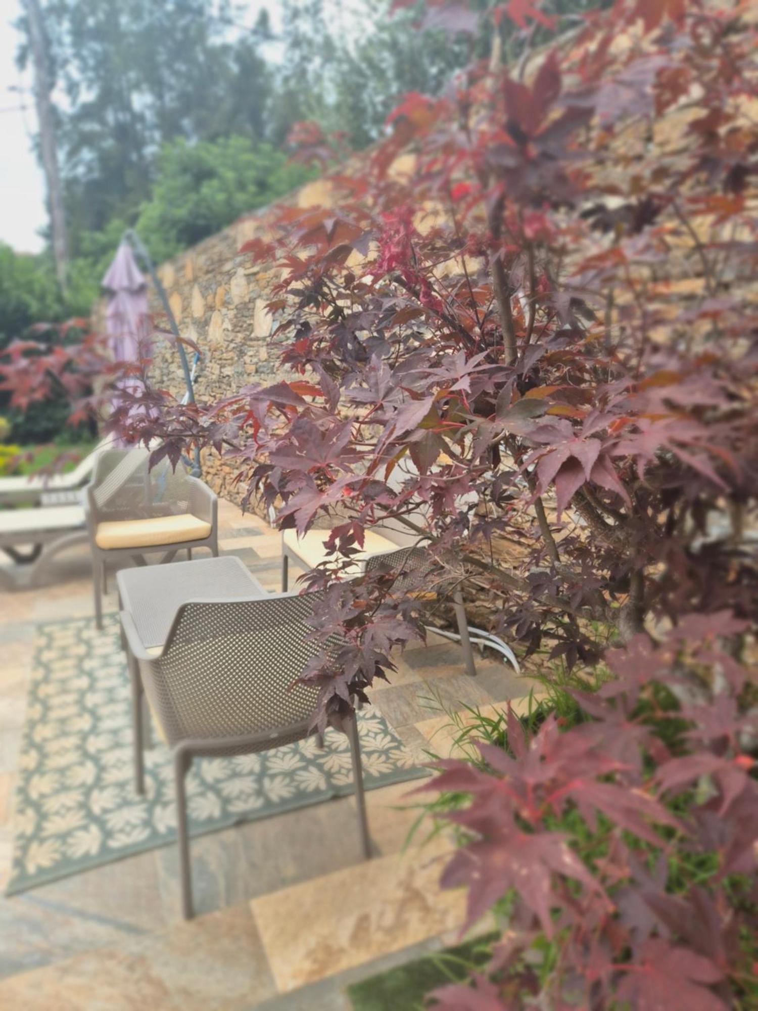 Rez De Villa Avec Piscine Privee, Wifi, Jardin Cloture Penta di Casinca المظهر الخارجي الصورة
